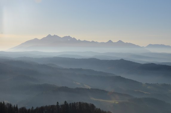 Małe Pieniny. Widoki ze szlaku ze Szczawnicy na Wysoki Wierch i Wysoką.