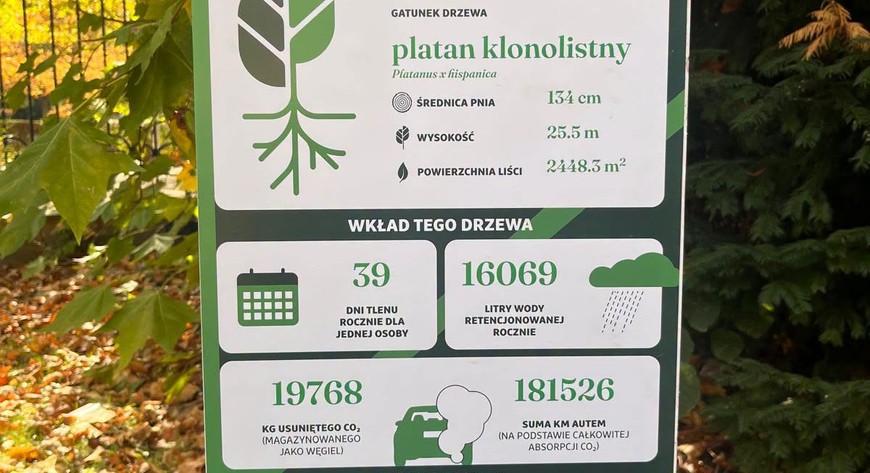Dzięki plakatom dowiecie się m.in., ile tlenu produkuje drzewo, ile wody deszczowej retencjonuje oraz ile zanieczyszczeń pochłania rocznie.
