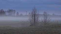Mgła na znacznym obszarze Polski. Ostrzeżenie IMGW