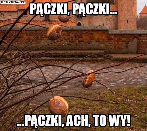 https://ocdn.eu/pulscms-transforms/1/AZIk9kpTURBXy85YTlhOTQxNGQzODYxNTMwYTAyMjJiZDUwNDJlMDExNi5qcGeSlQLNA8AAwsOVAgDNA8DCw94AAaEwBg
