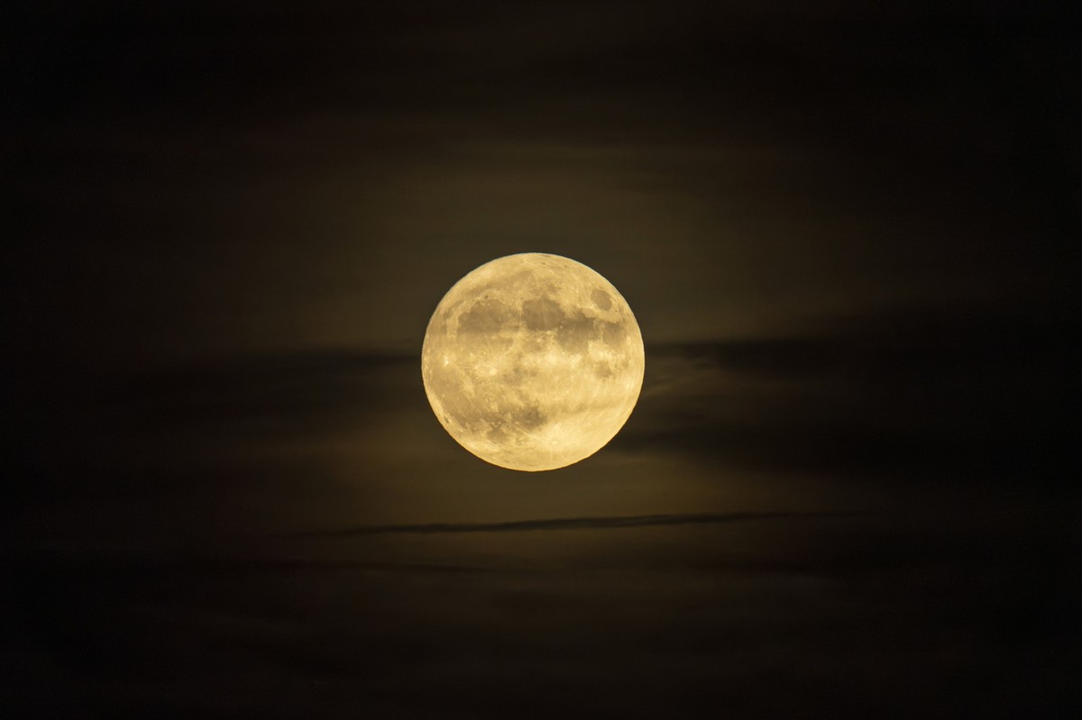 Liczymy, że w listopadzie br. Europejska Agencja Kosmiczna (ESA) podejmie oficjalnie decyzję o misji polskiego astronauty Sławosza Uznańskiego, który już w sierpniu 2024 r. może polecieć w kosmos - powiedział w sobotę w Łodzi minister rozwoju i technologii Waldemar Buda.