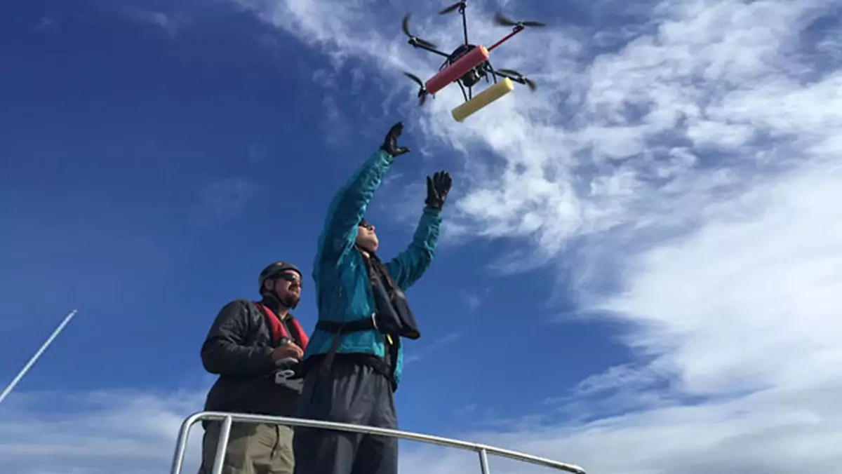 Drony wykonują pomiary orek oceanicznych