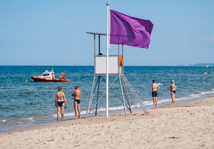 šta predstavlja ljubičasta zastava na plaži