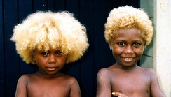 Melanesians: Meet the world's only natural black blondes