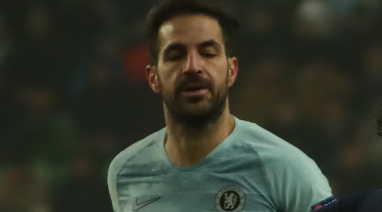 Cesc Fabregas elégedetlen volta pálya állapotával /Fotó: Isza Ferenc