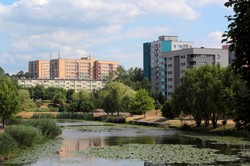 Dwaj mężczyźni utonęli nocą w Chorzowie. "Mogli być pod wpływem alkoholu"