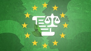 Zielony Ład. Wyborcy Trzaskowskiego i Nawrockiego zmieniają zdanie [SONDAŻ]