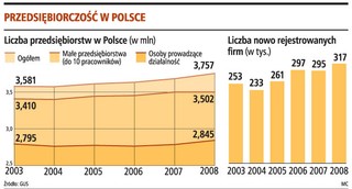 W praktyce niewielu przedsiębiorców założy firmę przez internet