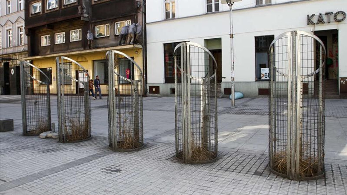 Katowiccy urzędnicy zamienili miasto w betonową pustynię. Zostały tylko wycięte pnie drzew, kikuty wyschniętych traw i pokraczne drzewka. Mieszkańcom nie podoba się to.