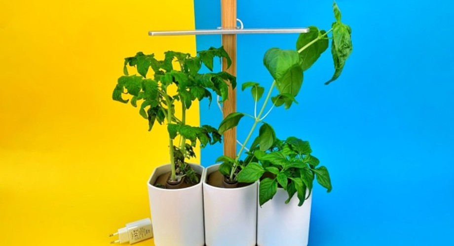 Prêt à Pousser: Schimmliger Indoor-Garten im Test