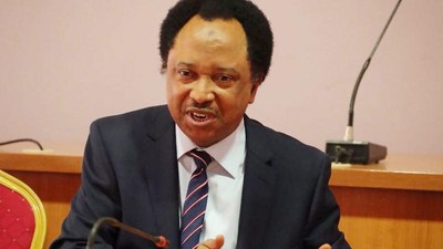 Senator Shehu Sani. [Guardian] 