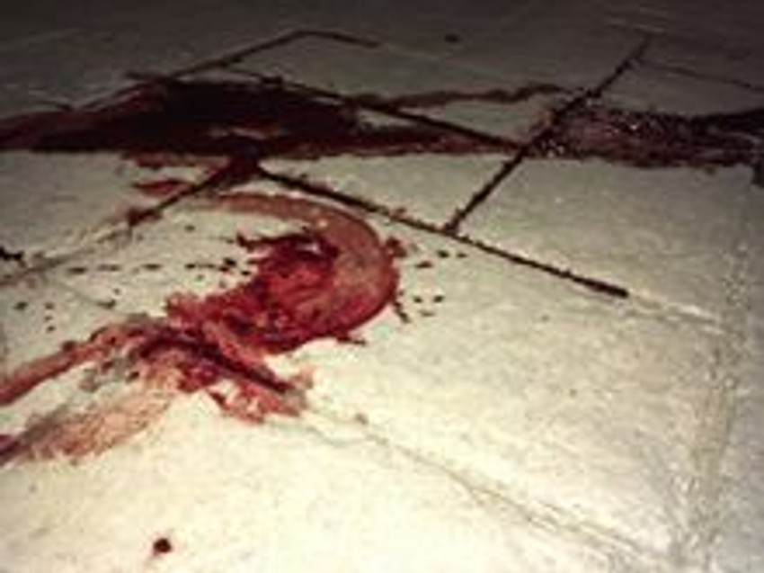 Jezivi prizori na licu mesta