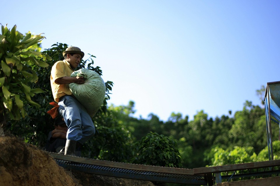 2010-02-22T173516Z_01_CRI01_RTRIDSP_3_COSTARICA-COFFEE.jpg