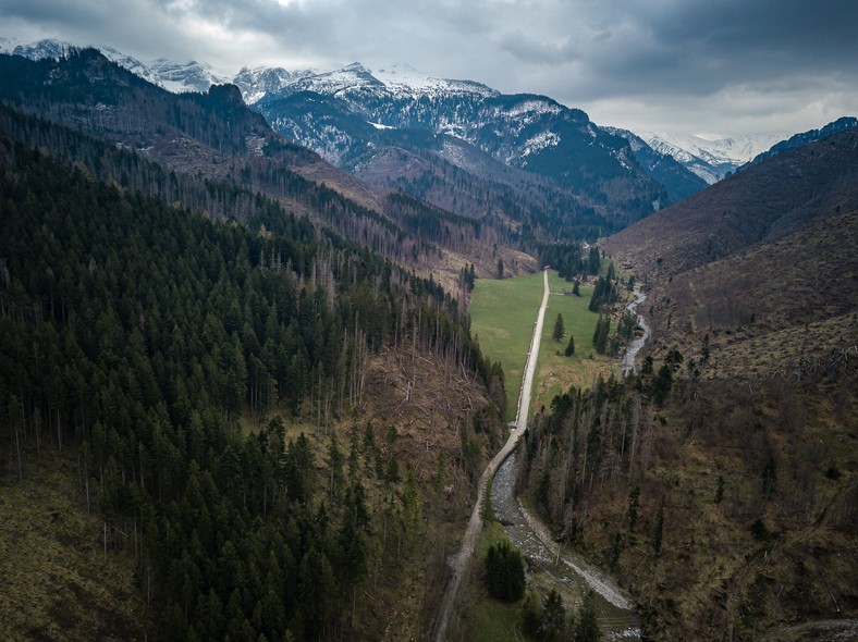 Widok na Tatry