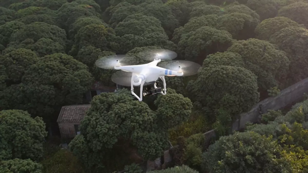 Gubernator Kalifornii kontra drony paparazzi