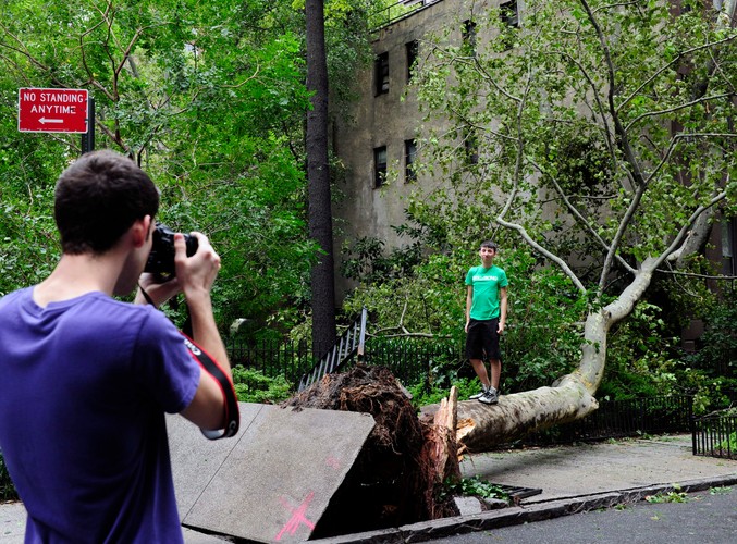 Powalone drzewa w Nowym Jorku