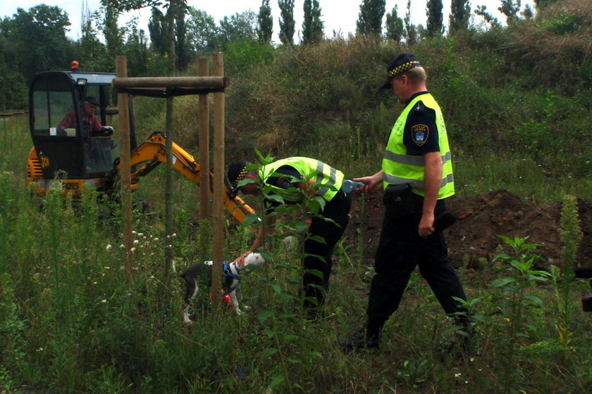 Strażnicy miejscy zabierają porzuconego psa do schroniska