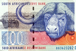 Polska wzorem interwencji na rynku walutowym... dla RPA