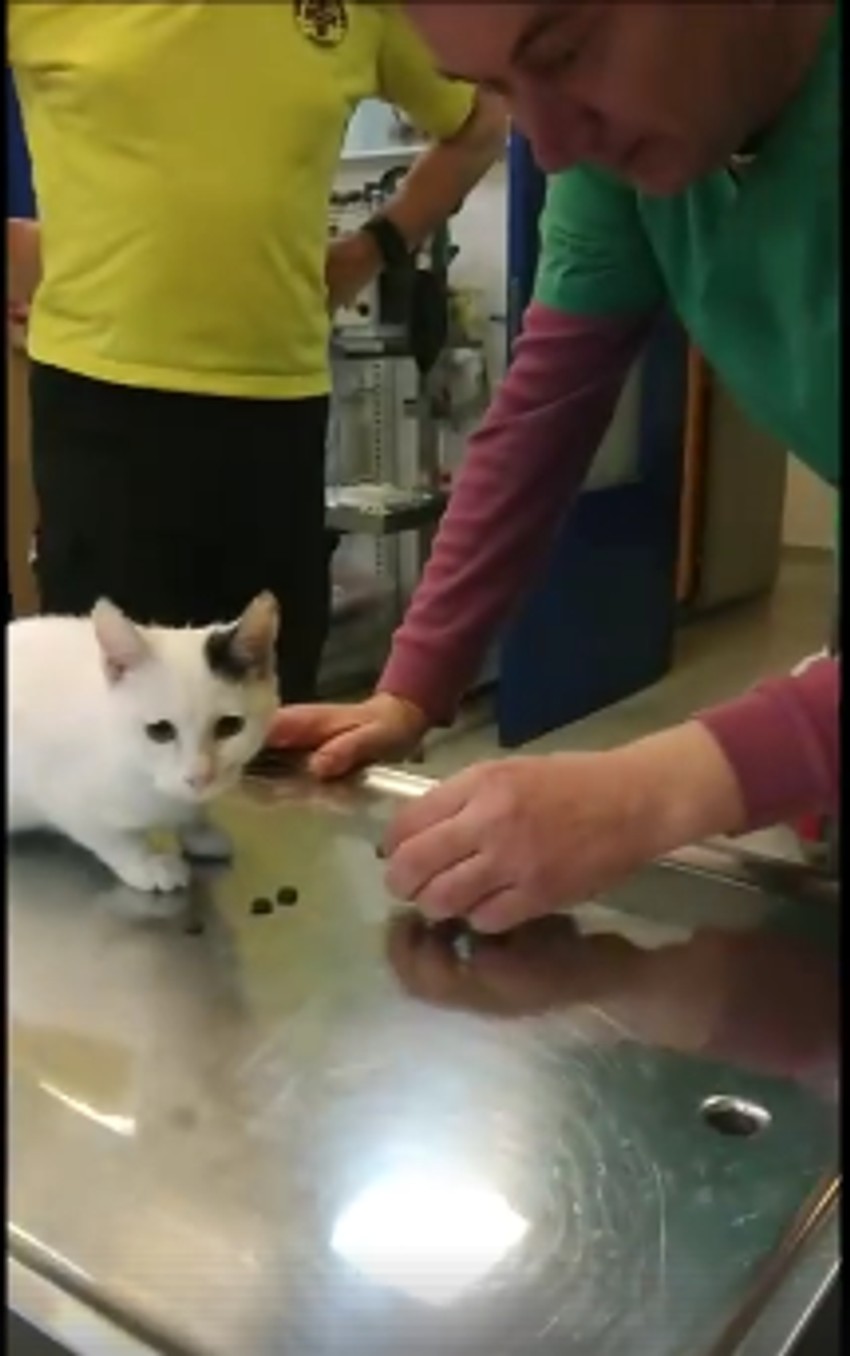 Sara koju je Badi odbranio