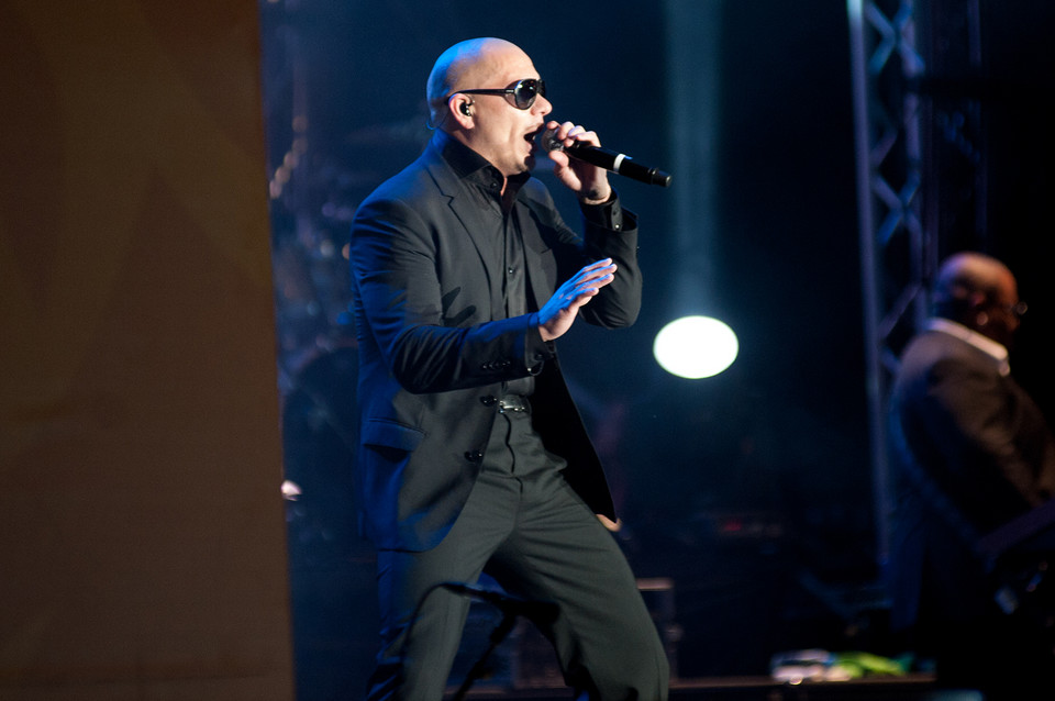 Pitbull w gdańskiej Strefie Kibica (fot. Joanna Kurkowska/Onet)