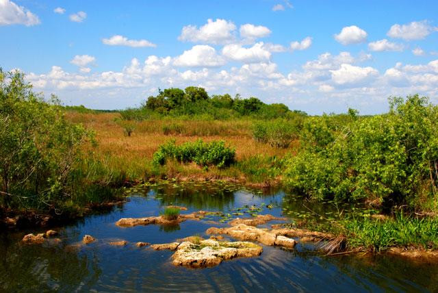 Galeria USA - Park Narodowy Everglades, obrazek 7