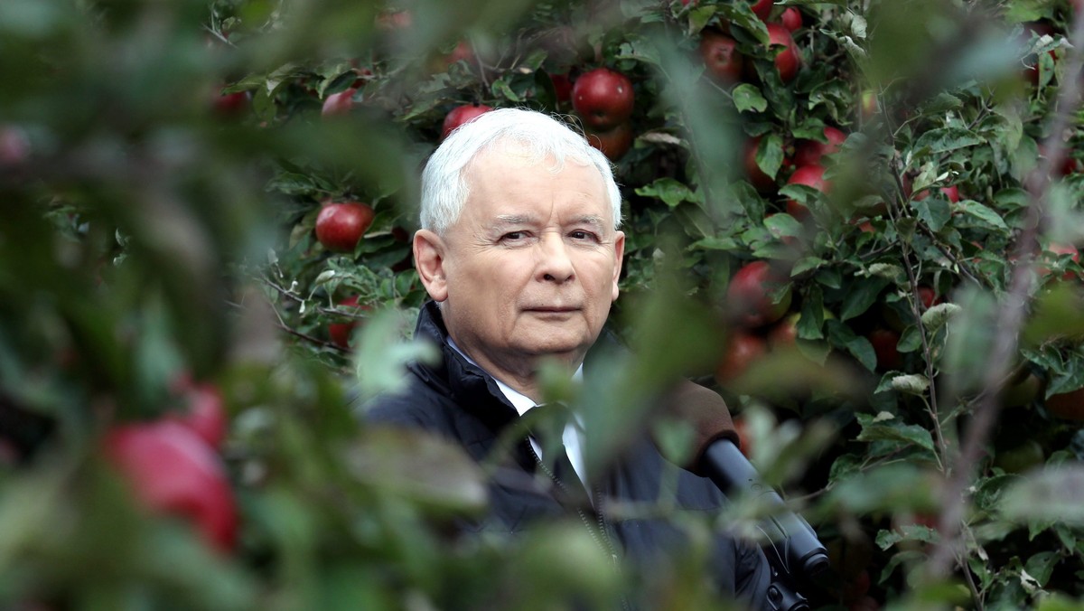 Jarosław Kaczyński