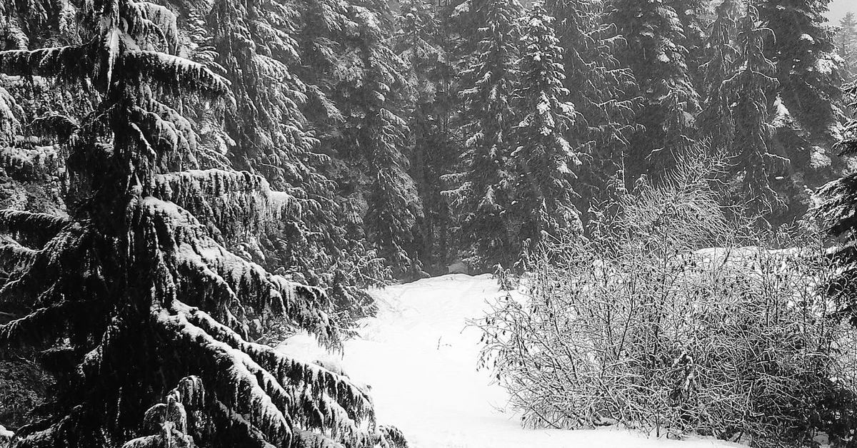 Idealna alternatywa dla Zakopanego? Oto podhalański azyl z najpiękniejszym widokiem na Tatry