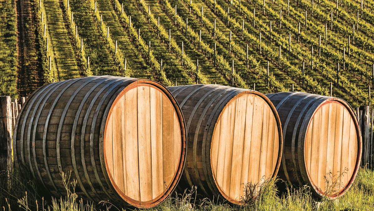 three wood barrels in vineyard