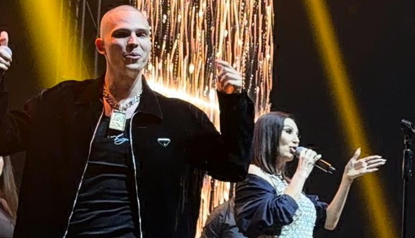 Ceca i Vojaž