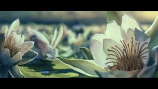 Polskie studio animacji Human Ark wśród najlepszych na świecie