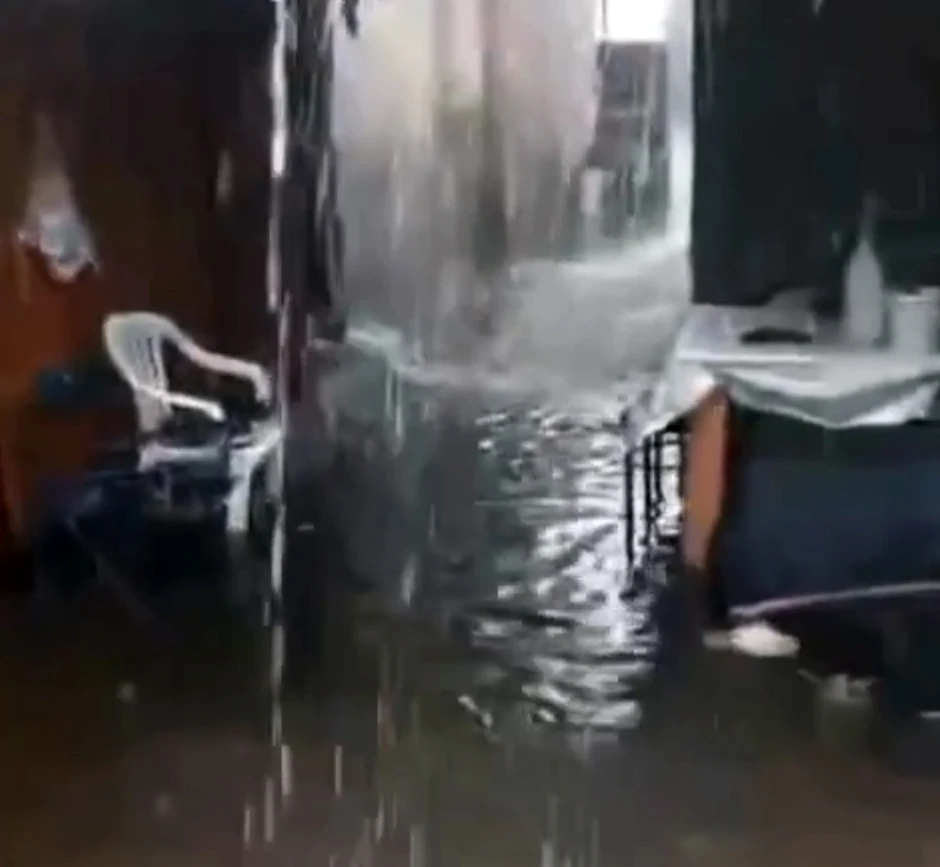 Nevreme u Novom Sadu