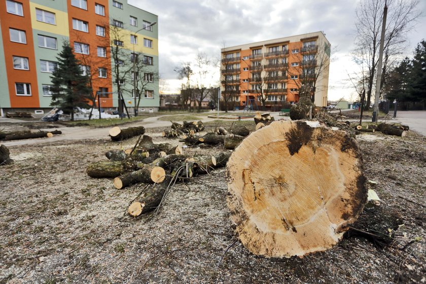 Zastali Polskę w ruinach, a zostawią w trocinach