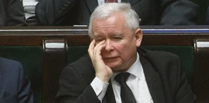 PiS ma powody do niepokoju. Najnowszy sondaż