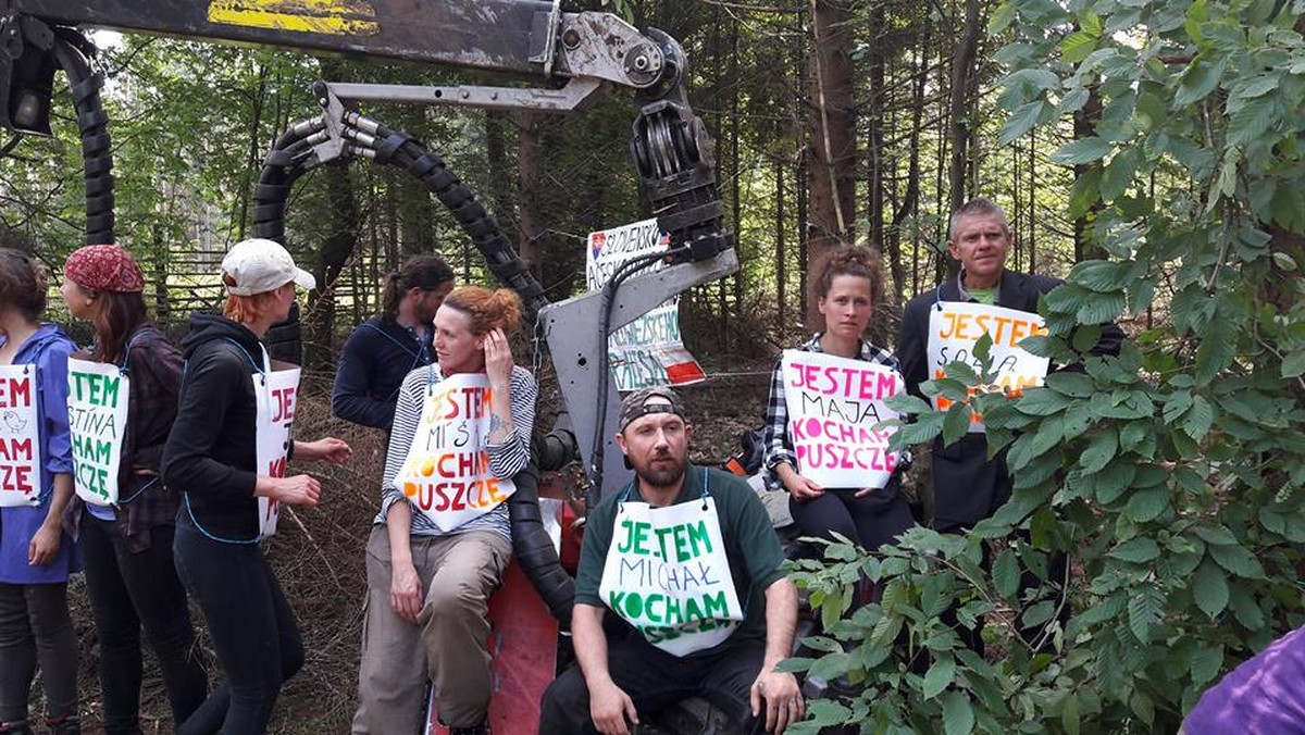 Ekolodzy z Dzikiej Polski rozpoczęli już szóstą w ostatnim tygodniu blokadę maszyn służących do wycinki w Puszczy Białowieskiej. Jak twierdzą, maszyny te uczestniczyły w wycince starodrzewów w okolicach rezerwatu Starzyna. A te obszary są objęte ochroną UNESCO.