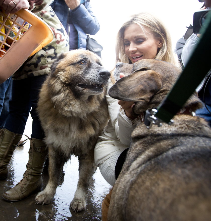 Joanna Krupa w schronisku