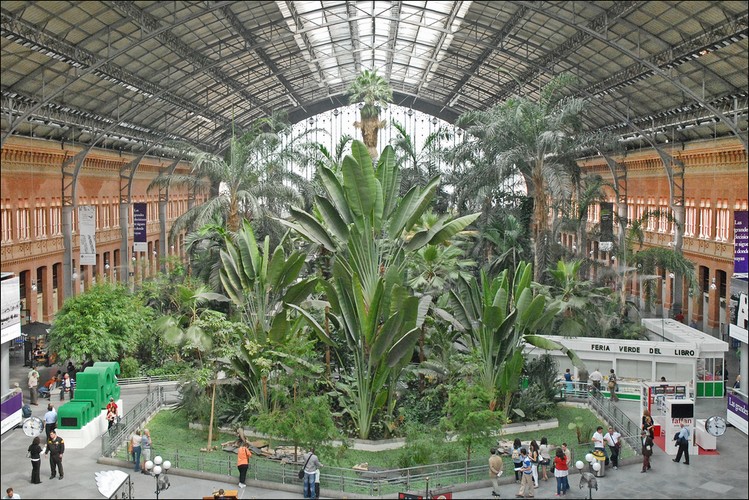 Dworzec główny Puerta de Atocha w Madrycie. Ruch pociągów przeniesiono pod ziemię, a w hali głównej stworzono wielki ogród botaniczny. Fot. dalbera, flickr (CC BY 2.0)