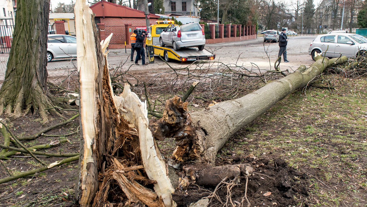 Uszkodzone i zerwane dachy, setki połamanych drzew, uszkodzone linie energetyczne to skutki silnego wiatru. W całym kraju strażacy wczoraj wieczorem i w nocy interweniowali 1846 razy – poinformował rzecznik PSP st. bryg. Paweł Frątczak.