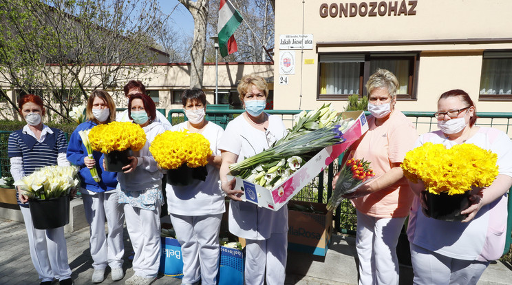 XIII. kerületi Gondozó dolgozói a virágokkal, Jakab utca. / Fotó: Fuszek Gábor