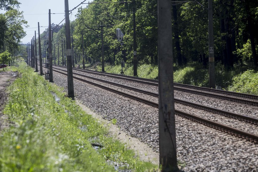 Makabra w Tychach! Tomasz K. zabił partnerkę, potem rzucił się pod pociąg?