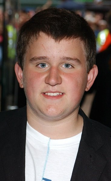 Harry Melling jako Dudley Dursley w 2004 r.