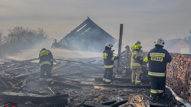 Trzysta królików spłonęło w pożarze w Wielkopolsce