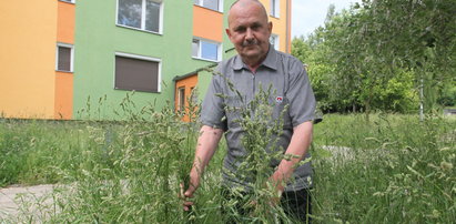 Skoście trawę na Niedźwiedniku!