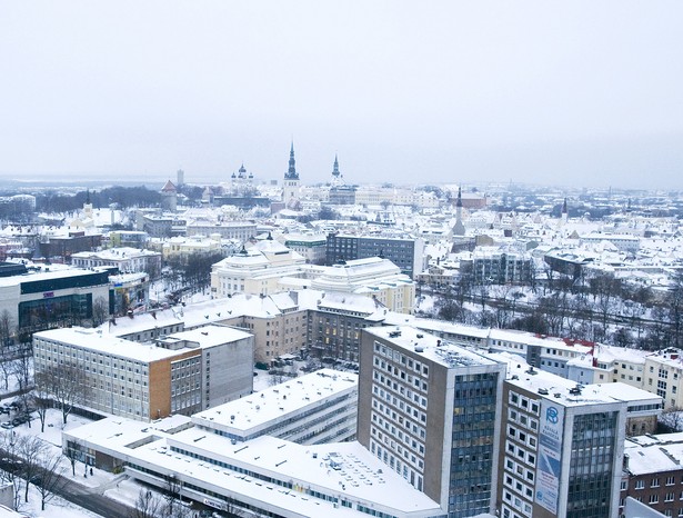 Pomimo nienajlepszego roku dla strefy euro od 1 stycznia jej 17. członkiem zostanie Estonia. Gospodarka Estonii będzie stanowiła zaledwie jedną dziesiątą procenta wartej 12,5 biliona dol. gospodarki krajów eurolandu. Znaczna część Estończyków uważa jednak wspólną walutę za dopełnienie integracji z Zachodem.