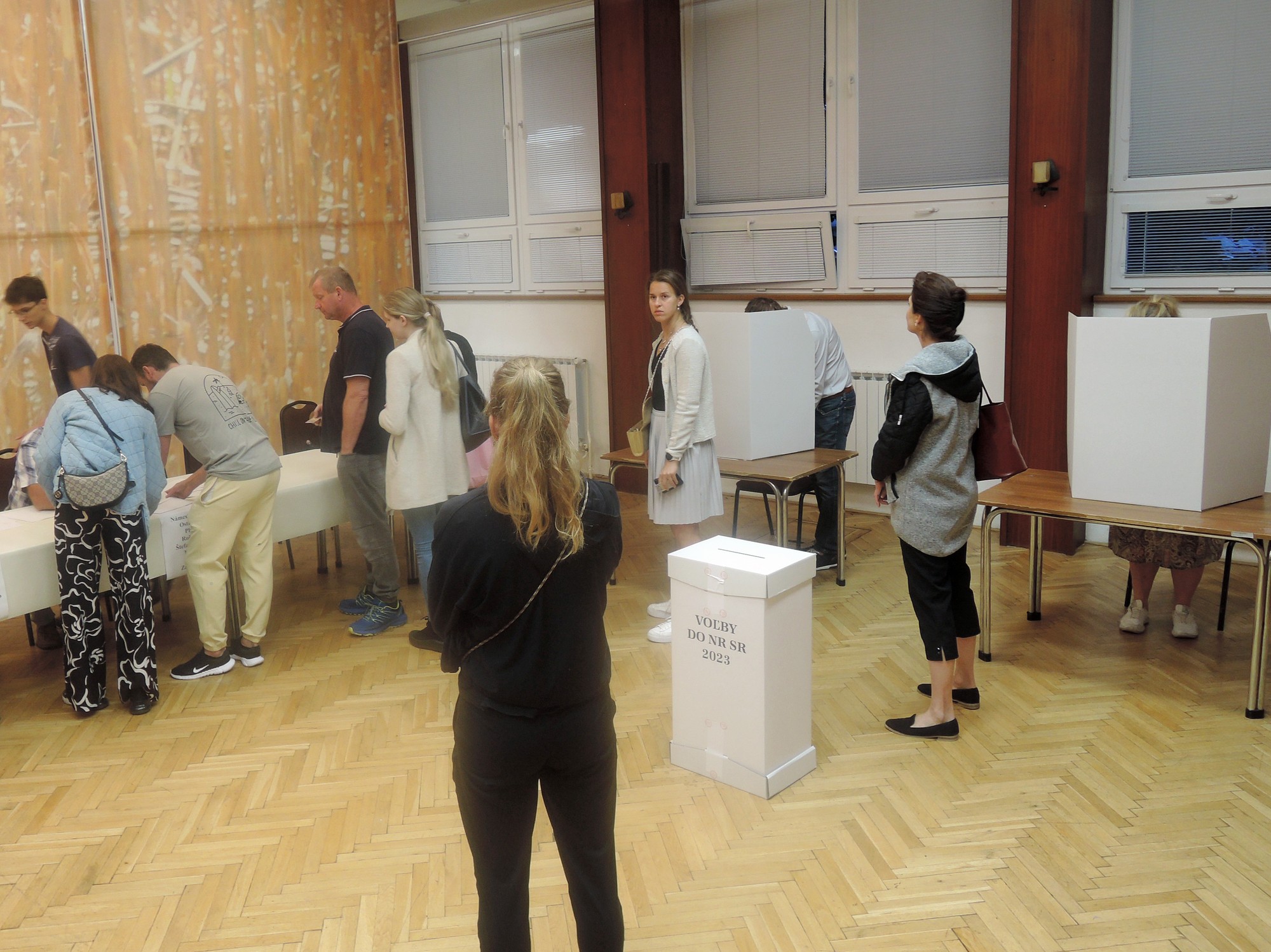 Predčasné parlamentné voľby na Slovensku.