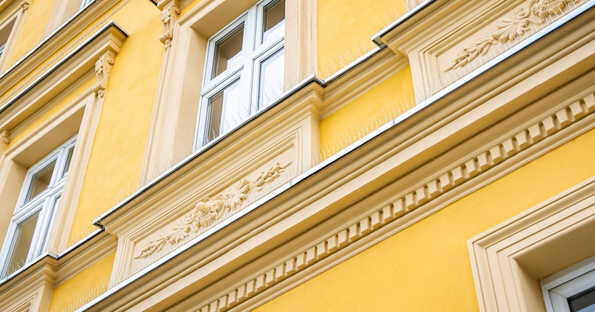 Żeromskiego 5 – od sztukaterii po budki lęgowe