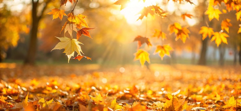 Antycyklon Ellinor namiesza w pogodzie. Ten region Polski dosięgnie spora zmiana