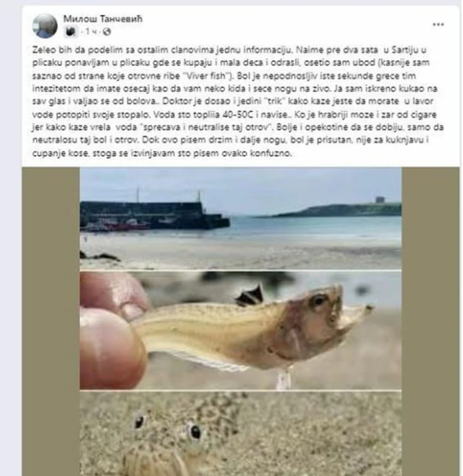 Srpskog turistu ujela riba pauk