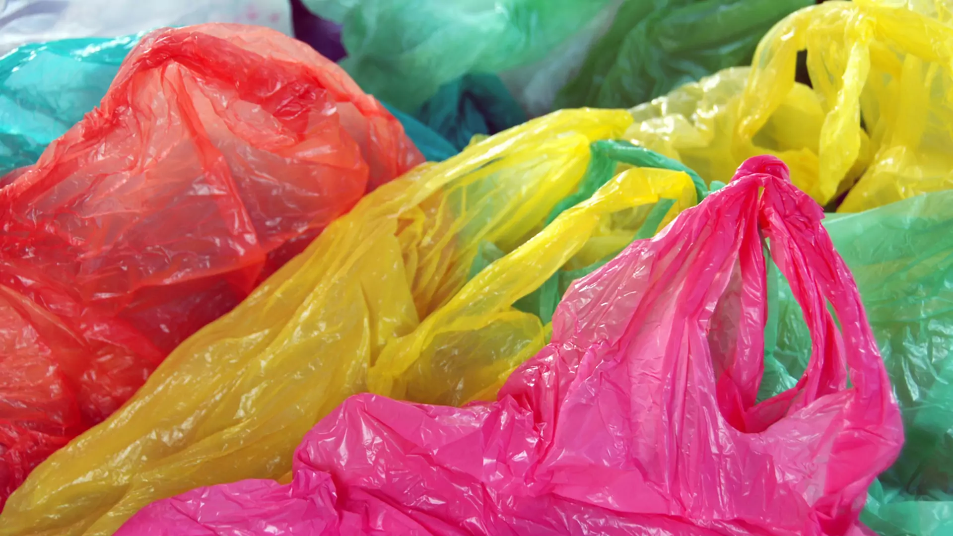 Żabka wycofa plastikowe torby ze wszystkich sklepów. "Zastąpimy je torbami papierowymi"