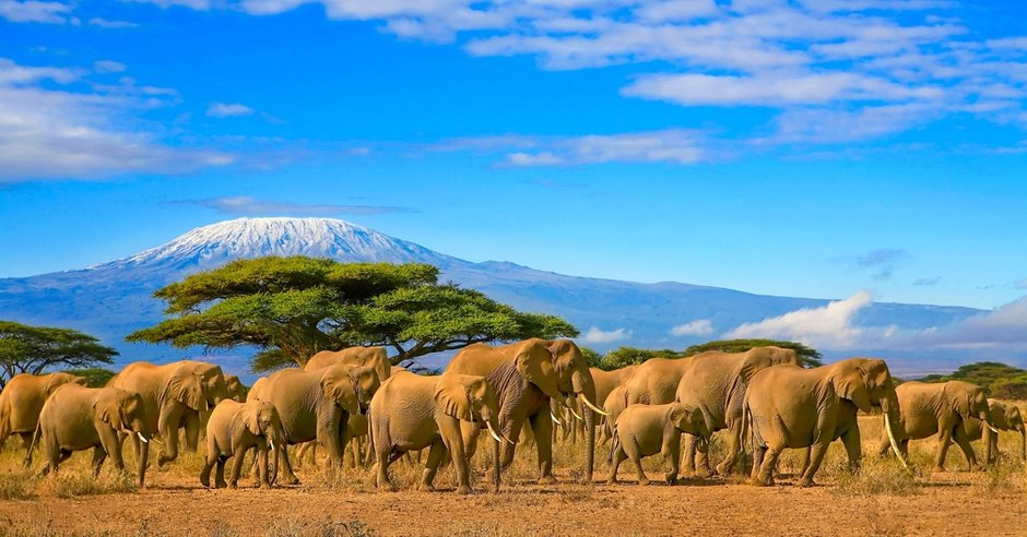 Szczyt Kilimandżaro, Tanzania