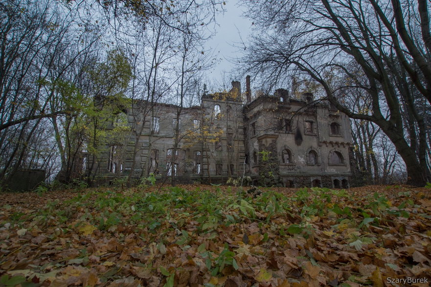 Ruiny pałacu Moesów w Wierbce